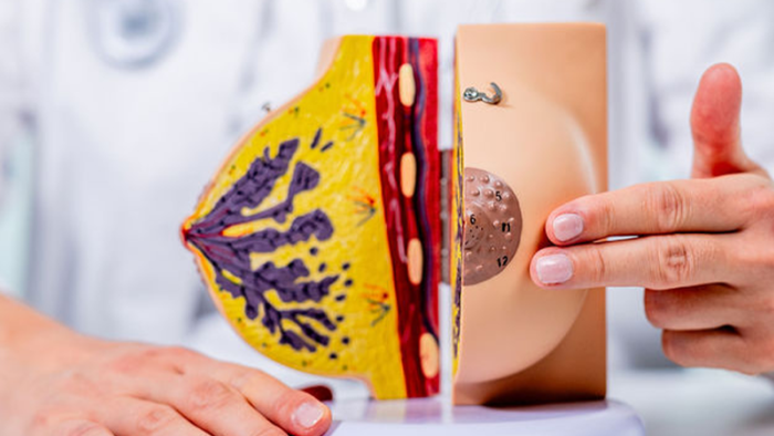 Breast cancer awareness in October: pink ribbon and gentle symbols promoting prevention and early detection of breast cancer.