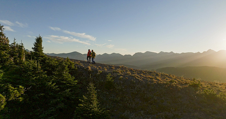 agile+® | Optimale Genesung nach Einsetzen von einem künstlichen Hüftgelenk oder Kniegelenk